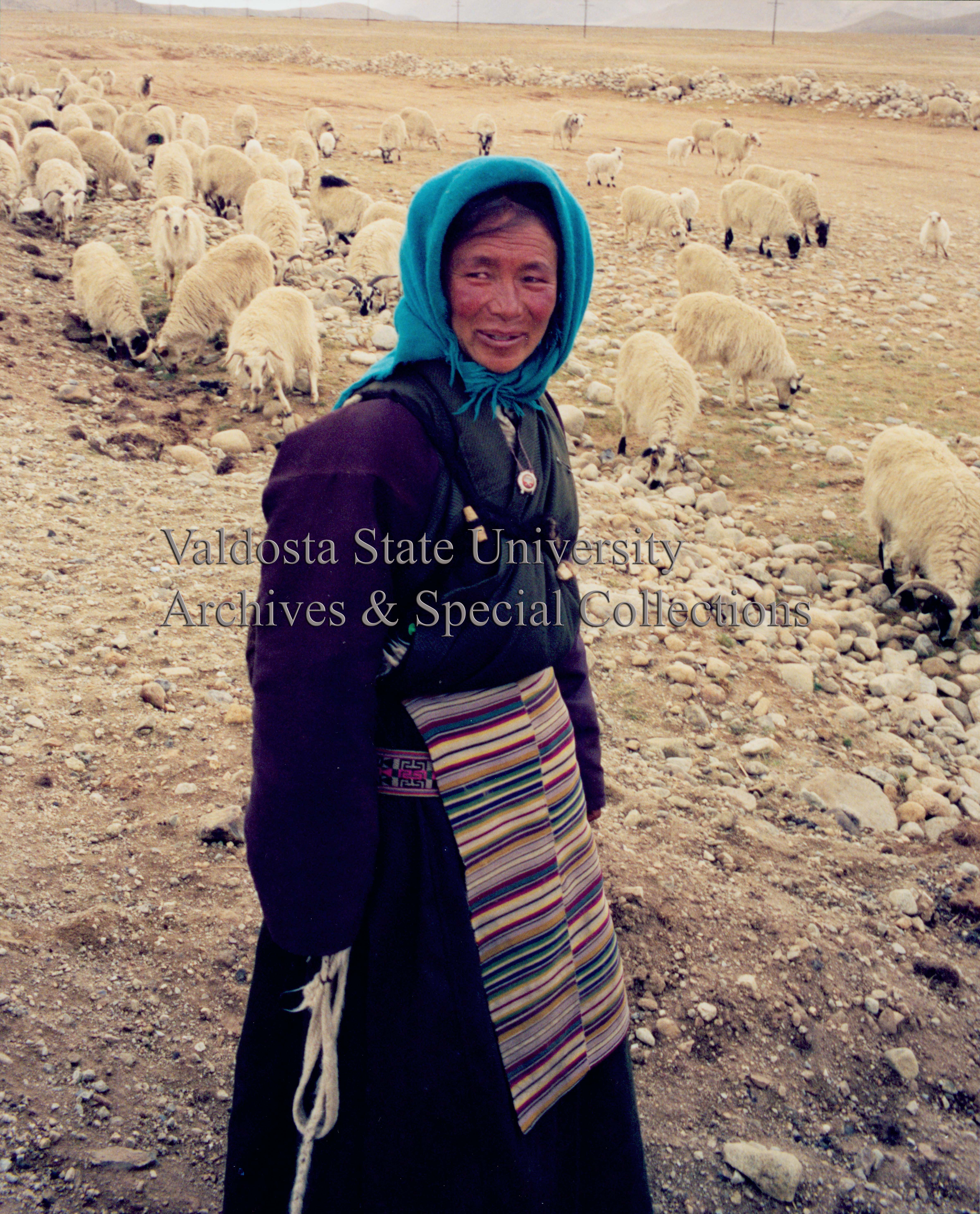 Woman Herding Sheep
